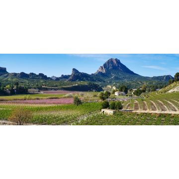 Lais Puzzle - Pfirsichblüte in Cieza, Mirador El Horno - 2.000 Teile