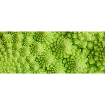 Lais Puzzle - Grünes Gemüse, Unmöglich - 2.000 Teile