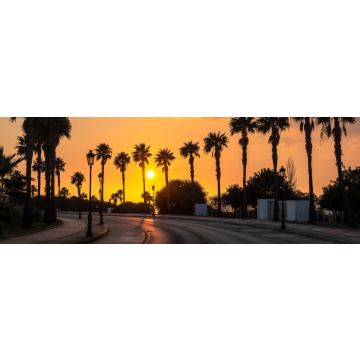 Lais Puzzle - Schöner Sonnenuntergang an einer palmengesäumten Küstenstraße von Conil de la Frontera in Südspanien - 1.000 Teile