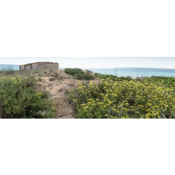 Lais Puzzle - Sant Ferran de ses Roques, Formentera Balearen Spanien  - 1.000 Teile