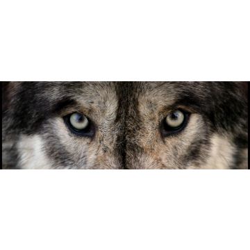 Lais Puzzle - Wolf - 1.000 Teile
