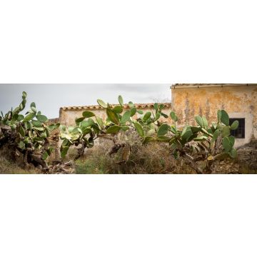 Lais Puzzle - San Francisco Javier Sant Francesc de Formentera Balearen Spanien - 1.000 Teile