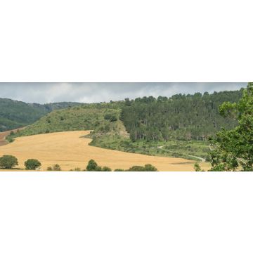 Lais Puzzle - Goñi, Navarra, im Merindad Estella - 1.000 Teile