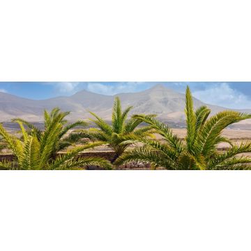 Lais Puzzle - Molino de Tefia, Fuerteventura - 1.000 Teile