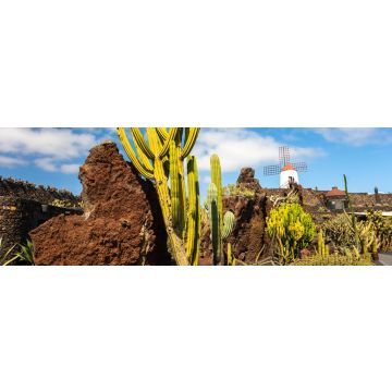 Lais Puzzle - Guatiza, Lanzarote - 1.000 Teile