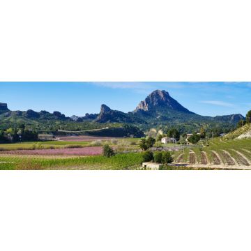 Lais Puzzle - Pfirsichblüte in Cieza, Mirador El Horno - 1.000 Teile