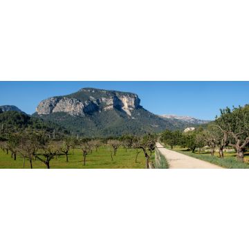 Lais Puzzle - Naturgebiet der Sierra de Tramuntana, Mallorca - 1.000 Teile