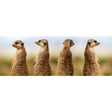 Lais Puzzle - Erdmännchen - 1.000 Teile