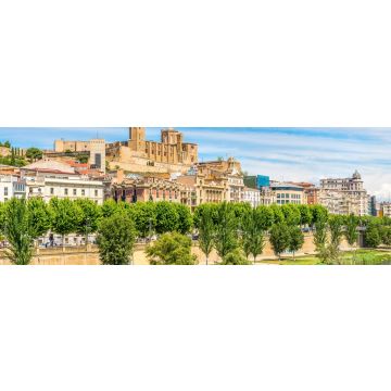 Lais Puzzle - Kathedrale Seu Vella mit dem Fluss Segre in Lleida, Spanien - 1.000 Teile