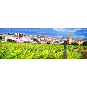 Lais Puzzle - Elciego, Rioja, Spanien - 1.000 Teile