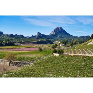 Lais Puzzle - Pfirsichblüte in Cieza, Mirador El Horno - 2.000 Teile