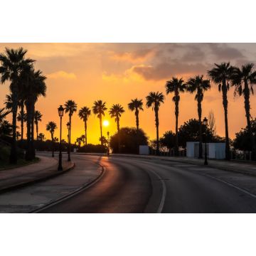 Lais Puzzle - Schöner Sonnenuntergang an einer palmengesäumten Küstenstraße von Conil de la Frontera in Südspanien - 2.000 Teile