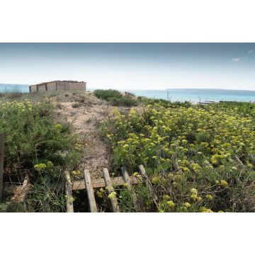 Lais Puzzle - Sant Ferran de ses Roques, Formentera Balearen Spanien  - 2.000 Teile
