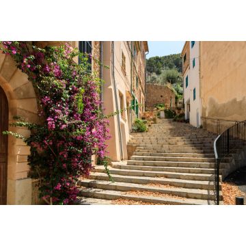 Lais Puzzle - Alte Straße von Banyalbufar Stadt auf Mallorca, Spanien - 2.000 Teile