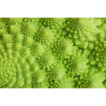 Lais Puzzle - Grünes Gemüse, Unmöglich - 2.000 Teile