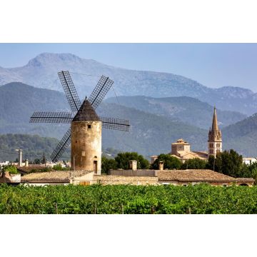 Lais Puzzle - Windmühle und Kirche, Weinberge, Binissalem, Serra de Tramuntana, Mallorca - 2.000 Teile