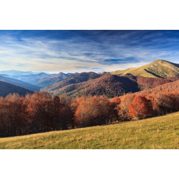 Lais Puzzle - Dschungel von Irati, Navarra - 2.000 Teile