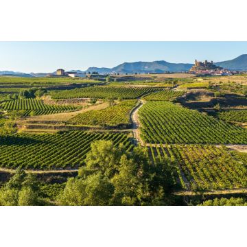 Lais Puzzle - Weinberg, La Rioja - 2.000 Teile