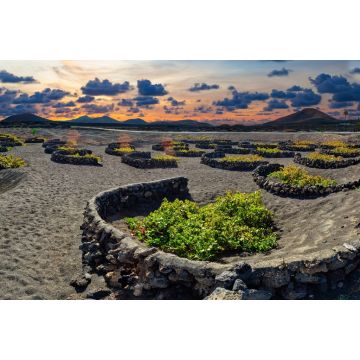 Lais Puzzle - La Geria Weinberg, Lanzarote - 2.000 Teile