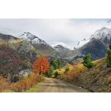 Lais Puzzle - Herbstszene im Tal von Bujaruelo, Provinz Huesca, Spanien - 2.000 Teile