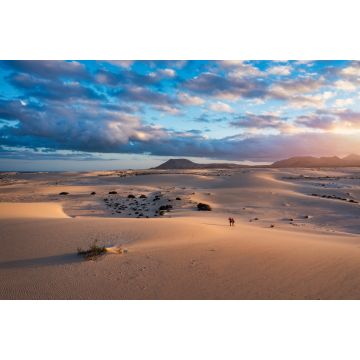 Lais Puzzle - Dunas de Corralejo, Fuerteventura - 2.000 Teile
