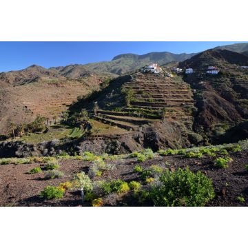 Lais Puzzle - Alojera im Westen von La Gomera - 2.000 Teile