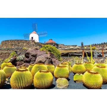 Lais Puzzle - Guatiza, Lanzarote - 2.000 Teile