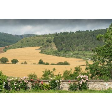 Lais Puzzle - Goñi, Navarra, im Merindad Estella - 2.000 Teile