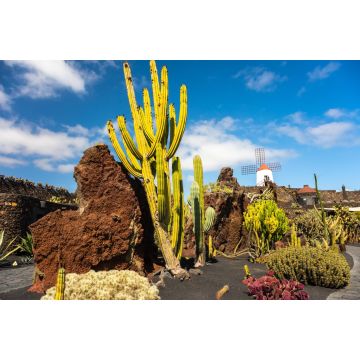 Lais Puzzle - Guatiza, Lanzarote - 2.000 Teile