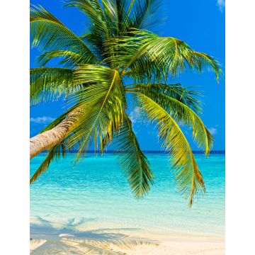Lais Puzzle - Tropischer Strand - 1.000 Teile