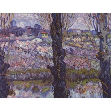 Lais Puzzle - Vincent Willem van Gogh - Blick auf Arles - 1.000 Teile