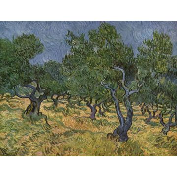 Lais Puzzle - Vincent Willem van Gogh - Olivenhain - 1.000 Teile