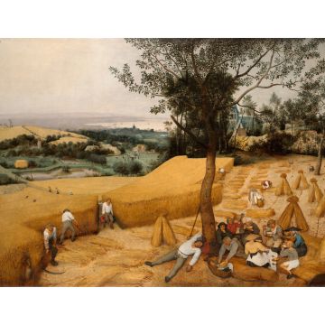 Lais Puzzle - Pieter Bruegel d. Ä. - Zyklus der Monatsbilder, Szene: Die Kornernte (Monat August) - 1.000 Teile