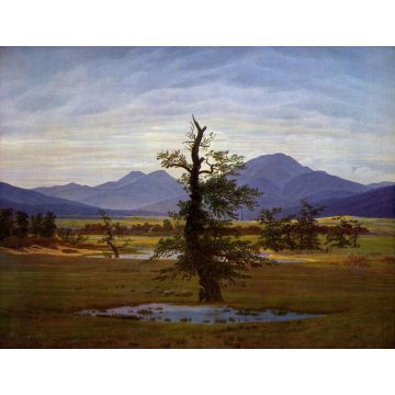 Lais Puzzle - Caspar David Friedrich - Einsamer Baum (Dorflandschaft bei Morgenbeleuchtung, Harzlandschaft) - 1.000 Teile