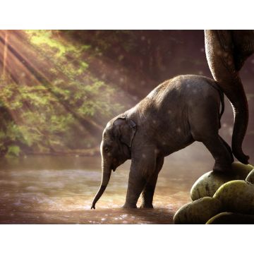 Lais Puzzle - Elefant - 1.000 Teile
