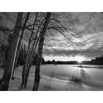 Lais Puzzle - Winterlandschaft schwarz weiß - 1.000 Teile