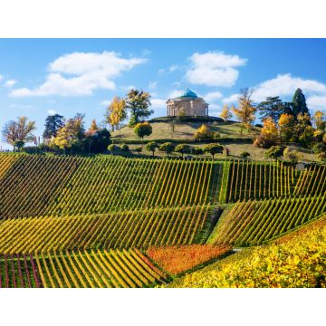 Lais Puzzle - Stuttgart Deutschland Landschaftsansicht des Mausoleums und der Weinberge von Rotenberg - 1.000 Teile