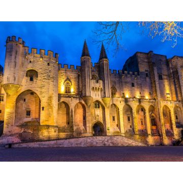 Lais Puzzle - Avignon, Palast des Papstes - 1.000 Teile