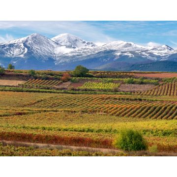 Lais Puzzle - Weinberge mit San Lorenzo Berg als Hintergrund, La Rioja, Spanien - 1.000 Teile