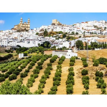 Lais Puzzle - Pueblo Blancos - Olvera, Cadiz, Andalusien, Spanien - 1.000 Teile
