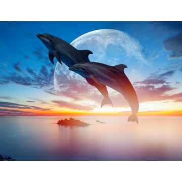 Lais Puzzle - Springende Delfine vor Mond - 1.000 Teile