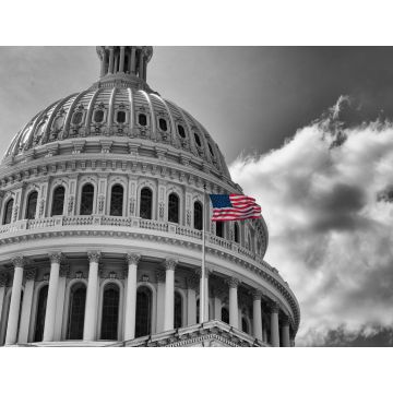 Lais Puzzle - US Flagge vor Kapitol in schwarz weiß, Washington D.C., USA - 1.000 Teile