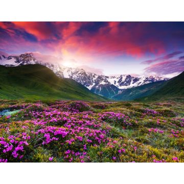 Lais Puzzle - Berglandschaft - 1.000 Teile
