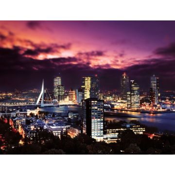 Lais Puzzle - Rotterdam - 1.000 Teile