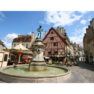 Lais Puzzle - Dijon - 1.000 Teile