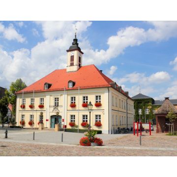 Lais Puzzle - Angermünde, Rathaus - 1.000 Teile