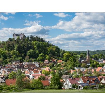 Lais Puzzle - Blick auf Schloss Lichtenberg im malerischen Fischbachtal im Odenwald, Hessen, Deutschland - 1.000 Teile