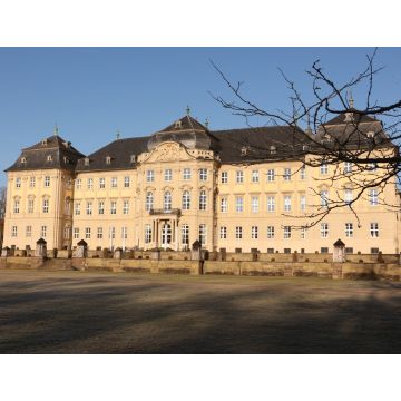 Lais Puzzle - Blick auf Schloss Werneck in Bayern - 1.000 Teile