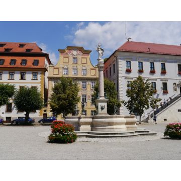 Lais Puzzle - Karlsplatz mit Marienbrunnen in Neuburg an der Donau - 1.000 Teile