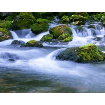 Lais Puzzle - Waldbach - 1.000 Teile